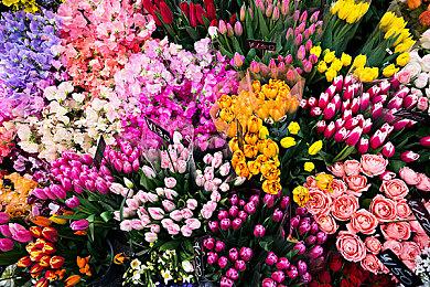 《光环：无限》全球自动匹配区服延迟高，怎么办？鲜牛加速器独家支持锁定低延迟区服