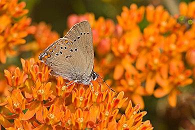 Epic Games将在波兰创立新工作室 打造独特游戏体验